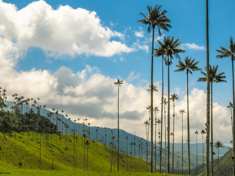 Reserva los mejores tours, actividades y atracciones turísticas de Colombia