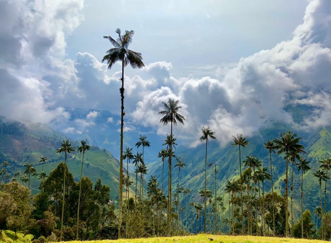 Reserva los mejores tours, actividades y atracciones turísticas de Colombia