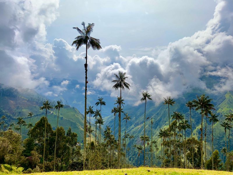 Reserva los mejores tours, actividades y atracciones turísticas de Colombia