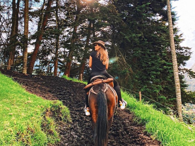Cabalgata por los miradores del Valle de Cocora