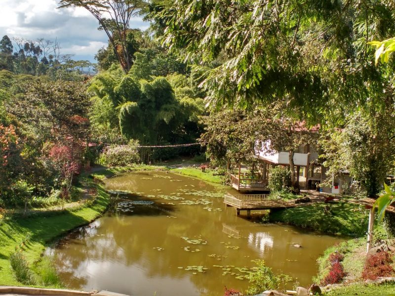 Reserva los mejores tours, actividades y atracciones turísticas de Colombia