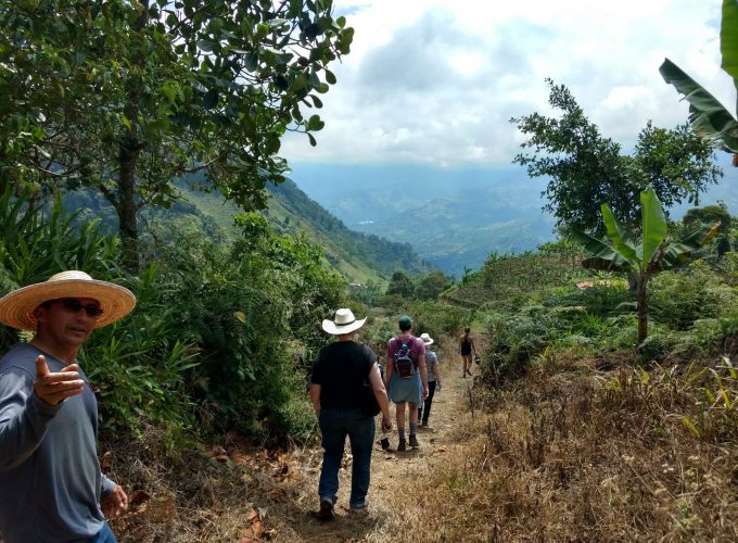 Reserva los mejores tours, actividades y atracciones turísticas de Colombia