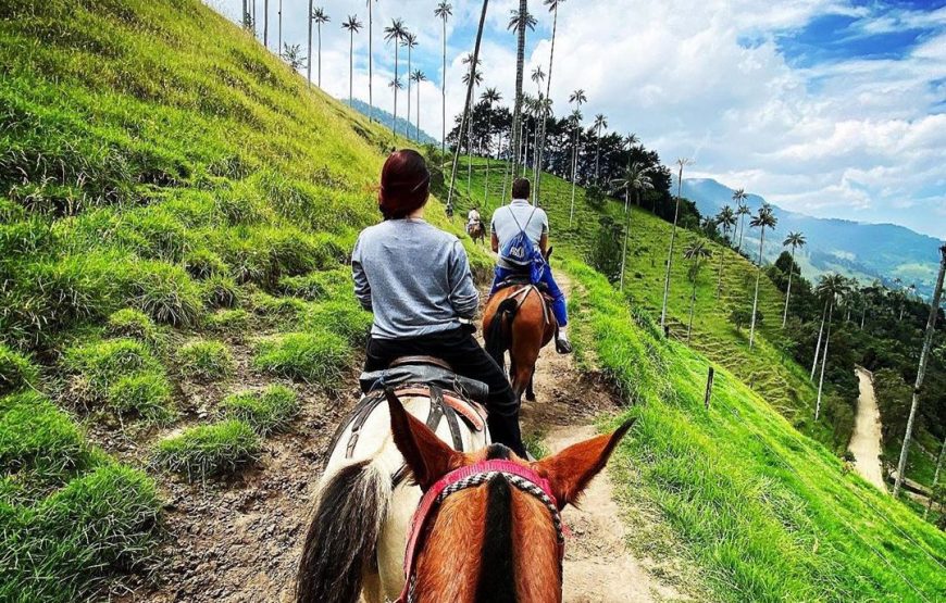 Cabalgata en el Valle del Cocora, Eje Cafetero