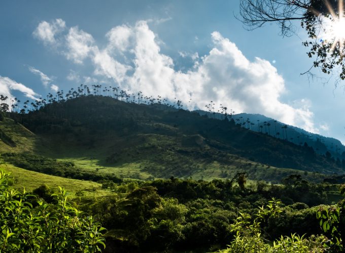 Reserva los mejores tours, actividades y atracciones turísticas de Colombia