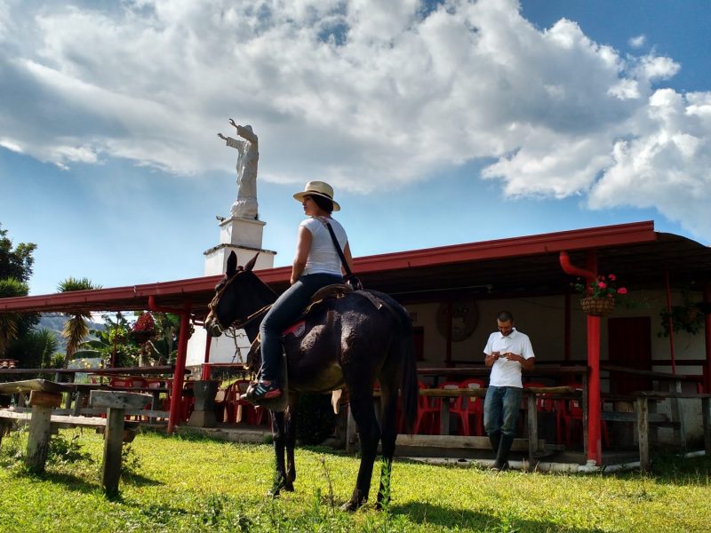Reserva los mejores tours, actividades y atracciones turísticas de Colombia