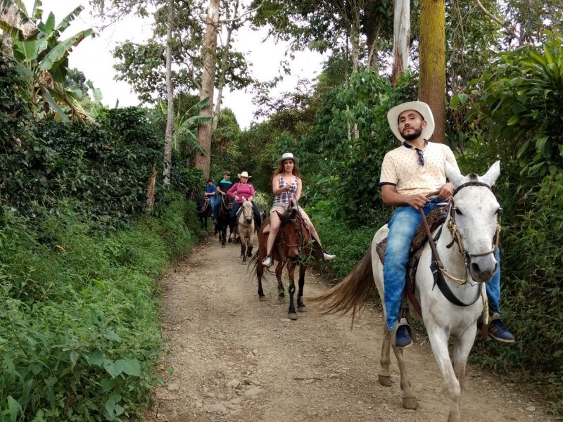 Reserva los mejores tours, actividades y atracciones turísticas de Colombia