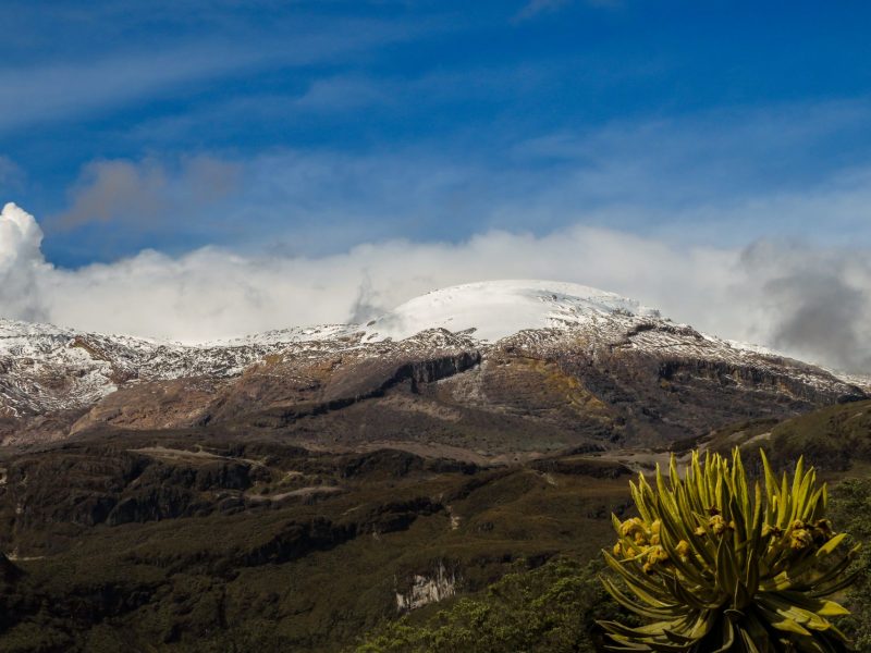 Reserva los mejores tours, actividades y atracciones turísticas de Colombia