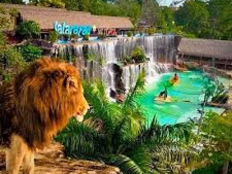 Reserva los mejores tours, actividades y atracciones turísticas de Colombia