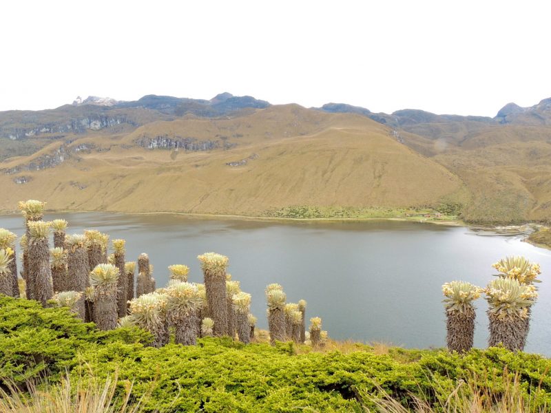 Reserva los mejores tours, actividades y atracciones turísticas de Colombia