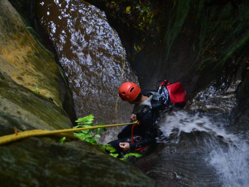 Reserva los mejores tours, actividades y atracciones turísticas de Colombia