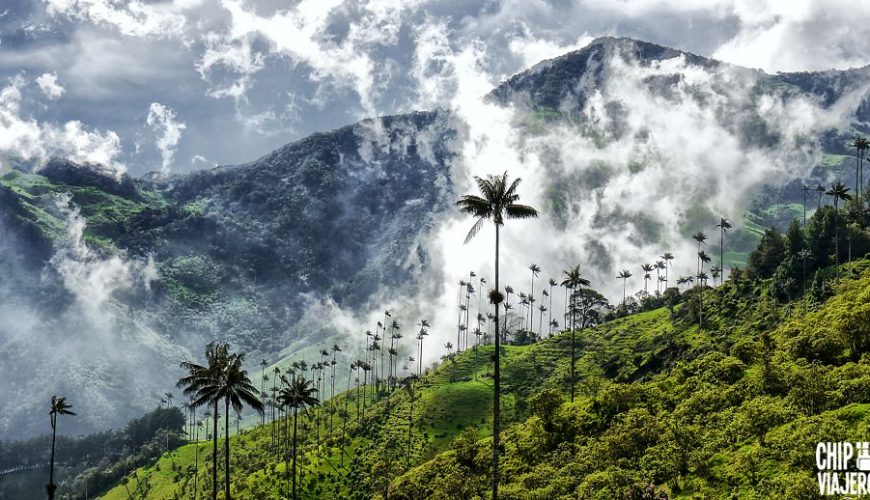 Qué hacer en Salento y Valle del Cocora