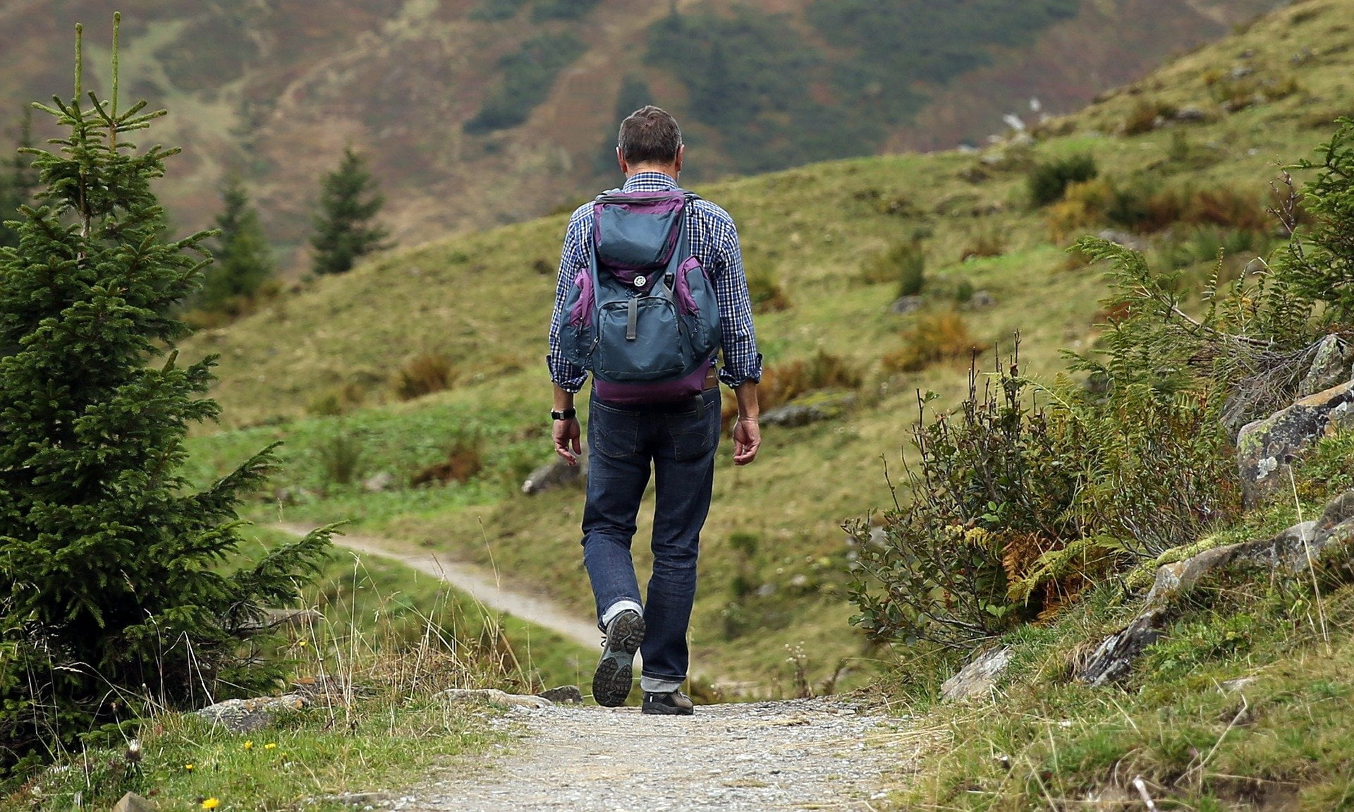 Por qué viajar al Eje Cafetero