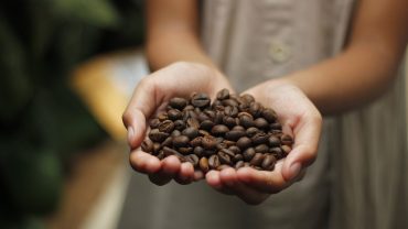 manos sosteniendo granos de Café