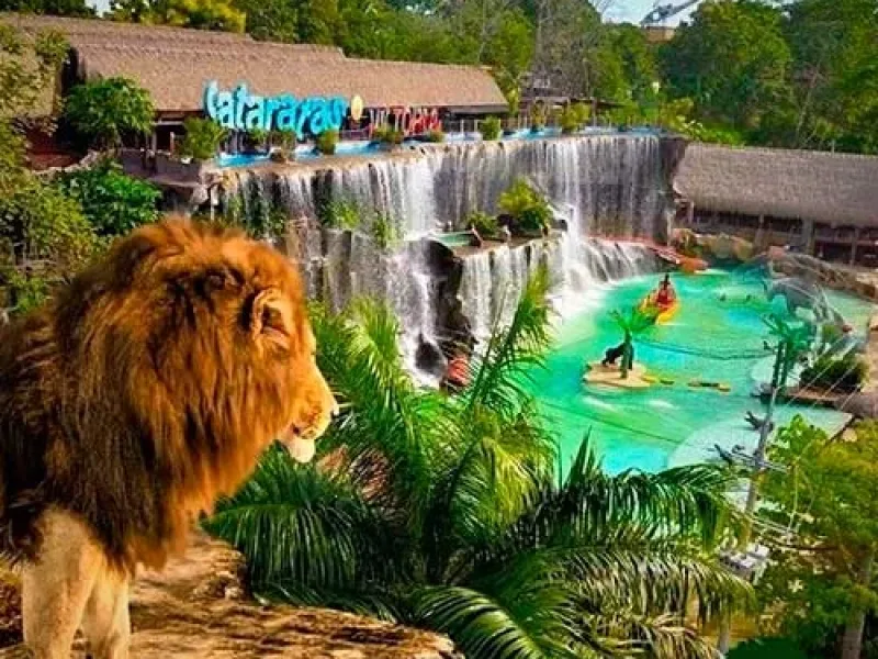 Reserva los mejores tours, actividades y atracciones turísticas de Colombia