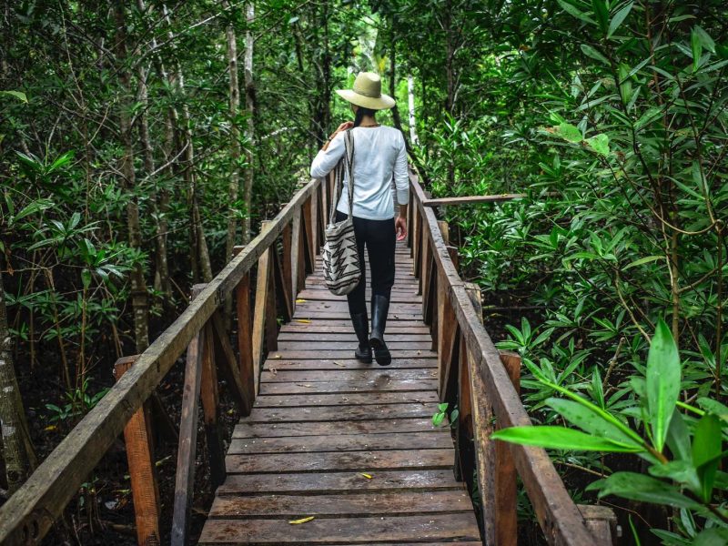 Reserva los mejores tours, actividades y atracciones turísticas de Colombia