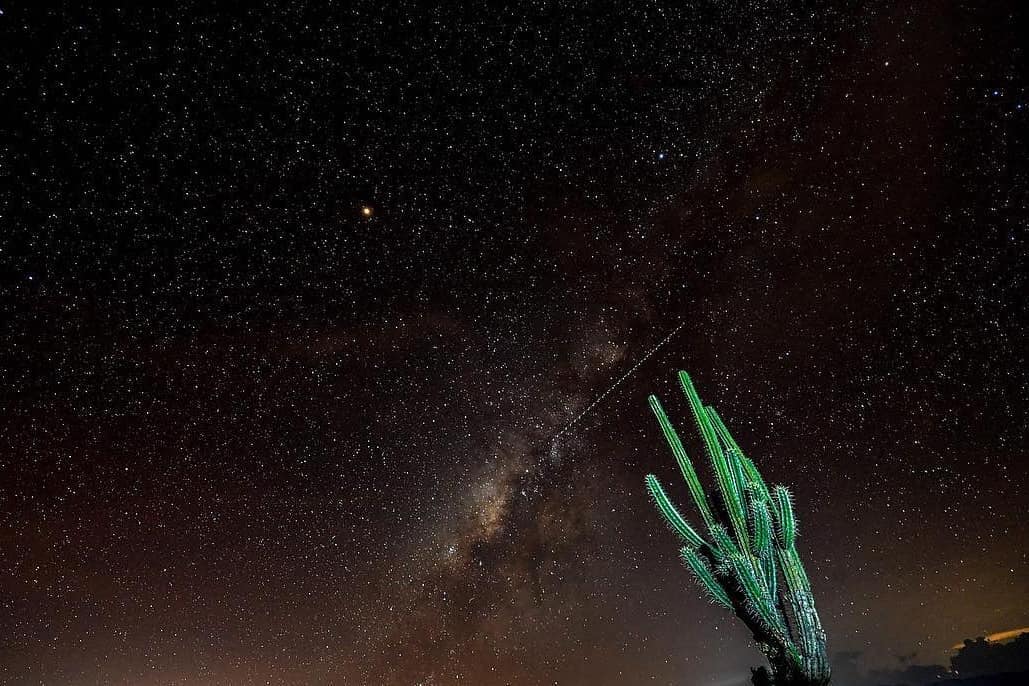 Cielo estrellado despejado con cactus en el desierto de la tTatacoa en el departamento del Huila, Colombia