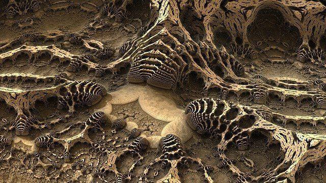 Paleontología en el Desierto de la Tatacoa