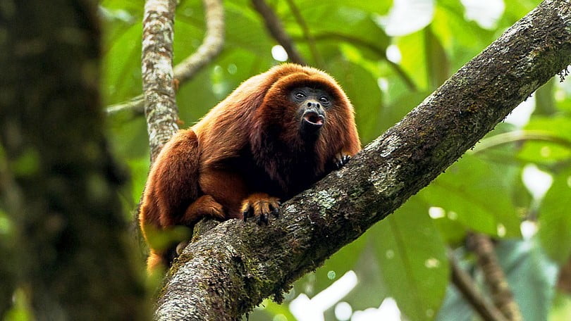 Parque Nacional Natural Ucumari