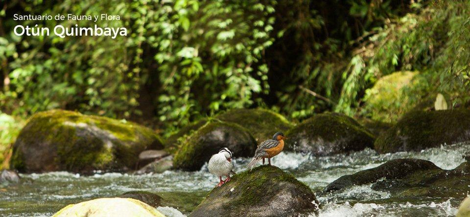 Santuario de Fauna y Flora Quimbaya