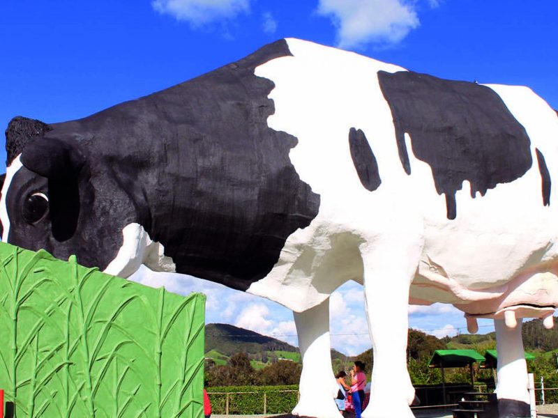 Reserva los mejores tours, actividades y atracciones turísticas de Colombia