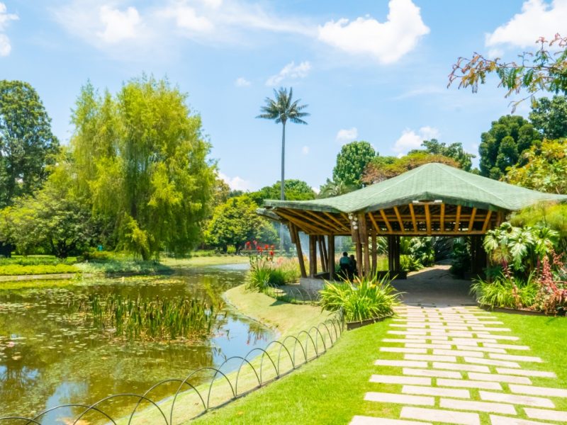 Reserva los mejores tours, actividades y atracciones turísticas de Colombia