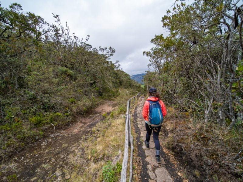 Reserva los mejores tours, actividades y atracciones turísticas de Colombia