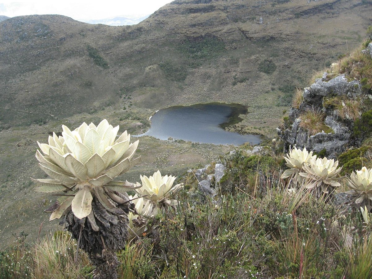 Turismo en Villa de Leyva