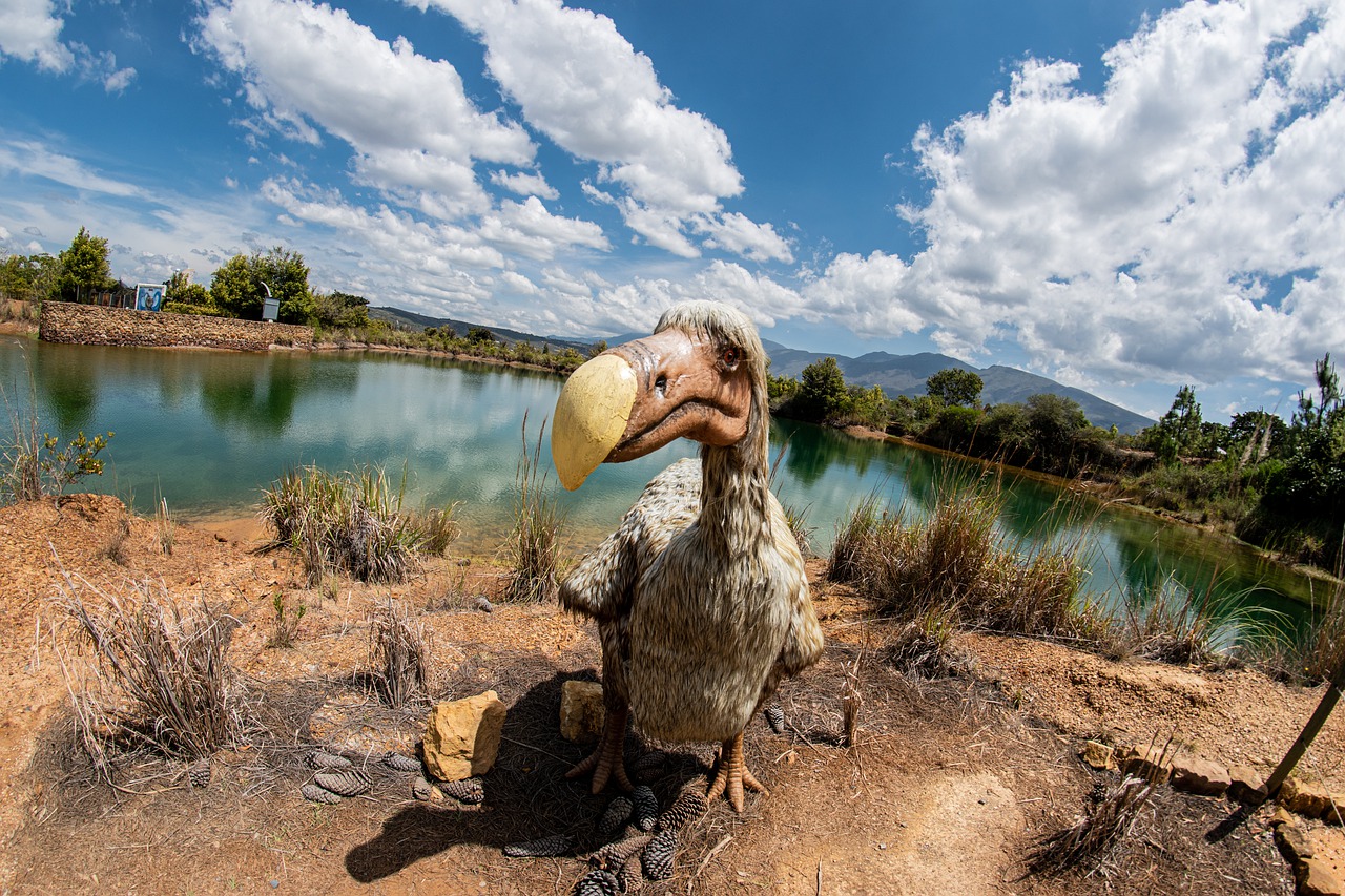 Turismo en Villa de Leyva