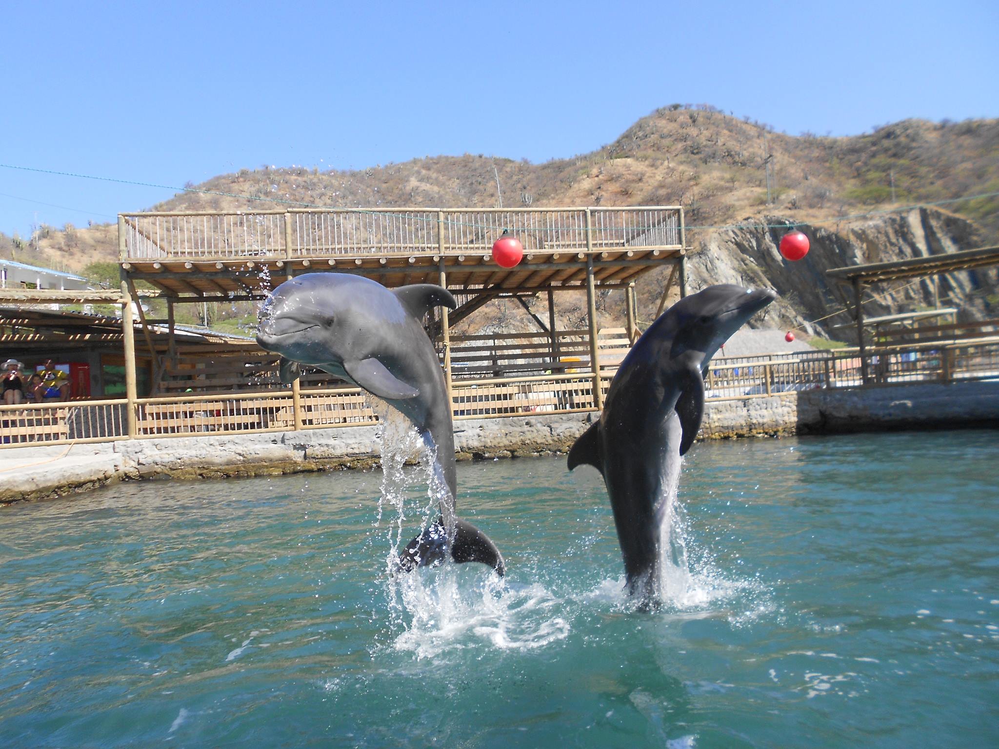 tours playa blanca cartagena