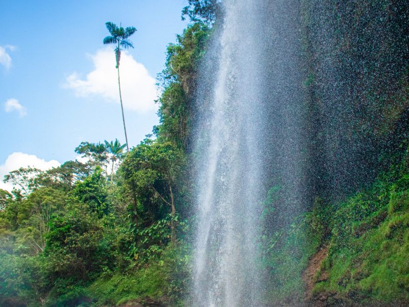 Reserva los mejores tours, actividades y atracciones turísticas de Colombia