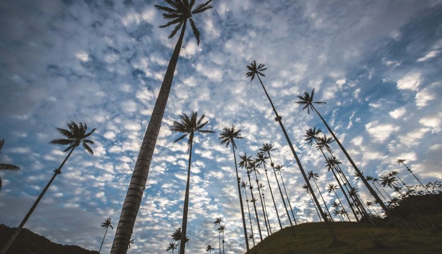 Reserva los mejores tours, actividades y atracciones turísticas de Colombia