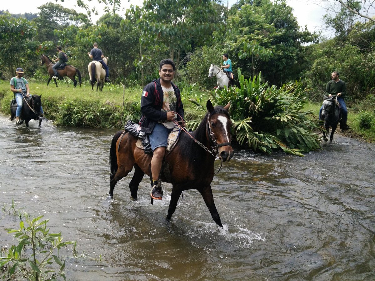 Qué hacer en Salento