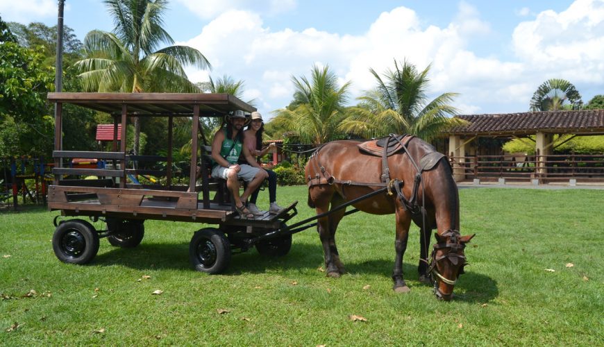 Reserva los mejores tours, actividades y atracciones turísticas de Colombia