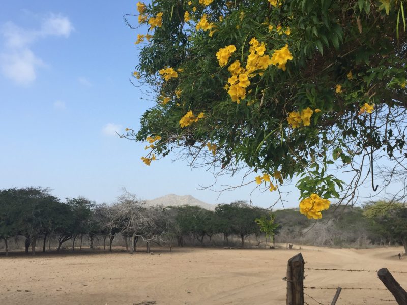 Reserva los mejores tours, actividades y atracciones turísticas de Colombia