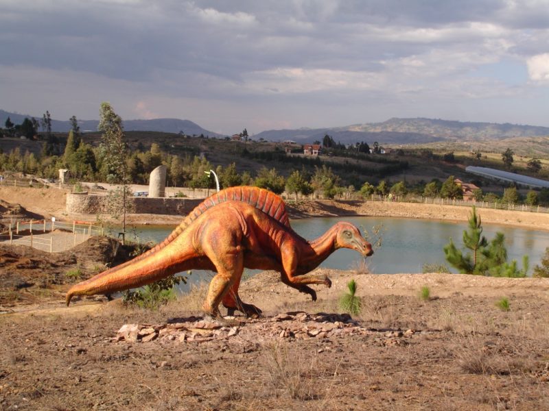 Reserva los mejores tours, actividades y atracciones turísticas de Colombia