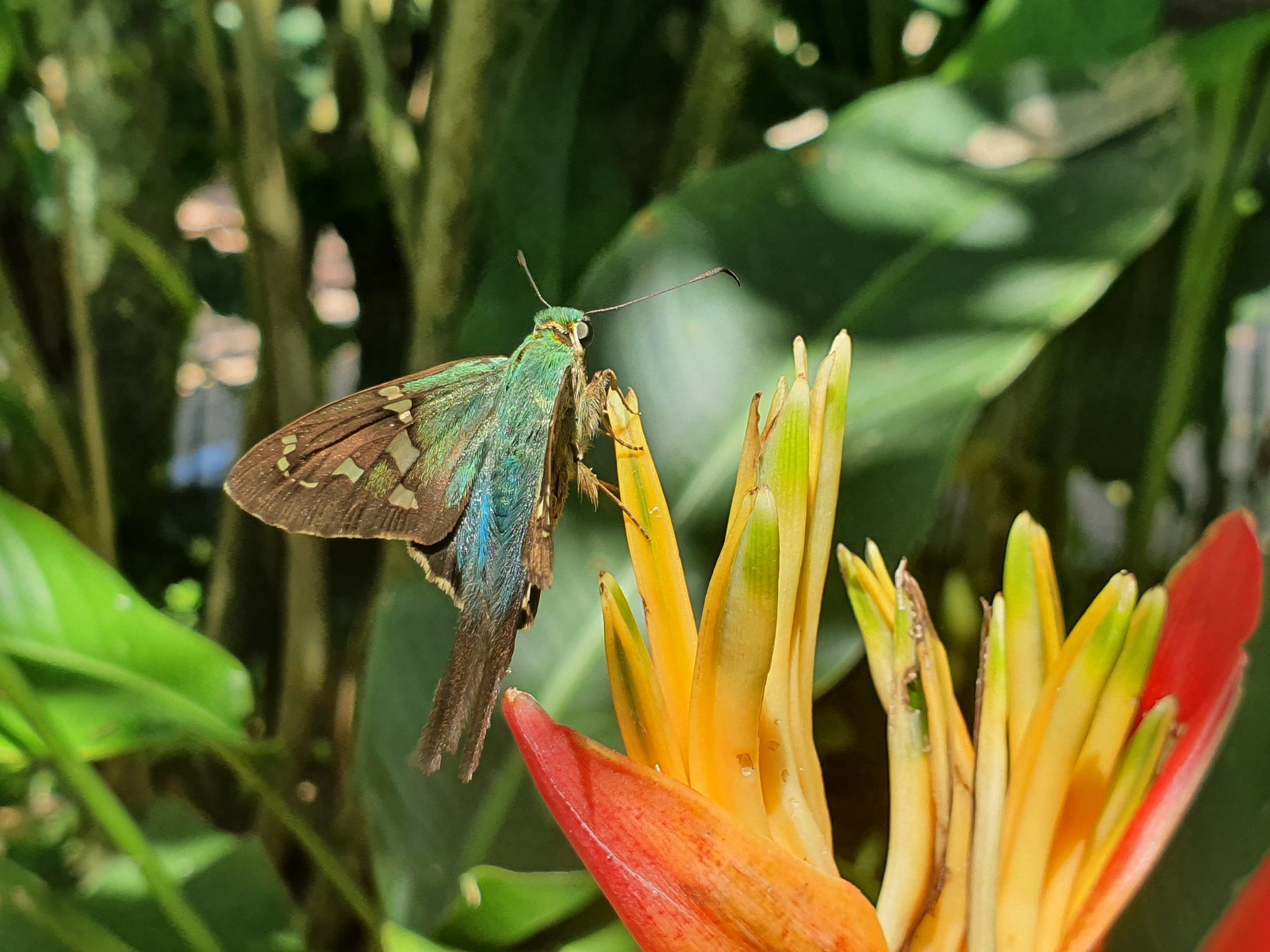 Bioparque Ukumarí