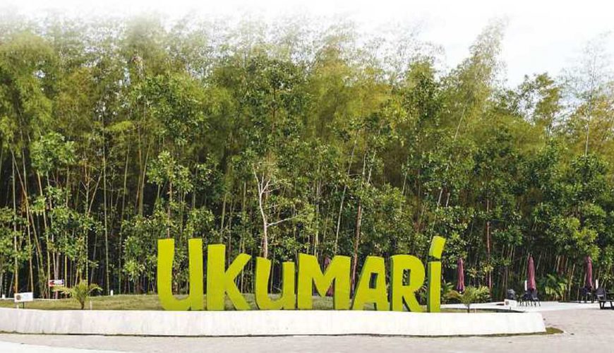 Reserva los mejores tours, actividades y atracciones turísticas de Colombia