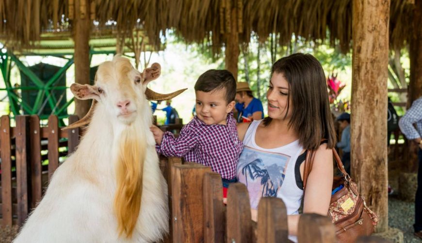 Reserva los mejores tours, actividades y atracciones turísticas de Colombia