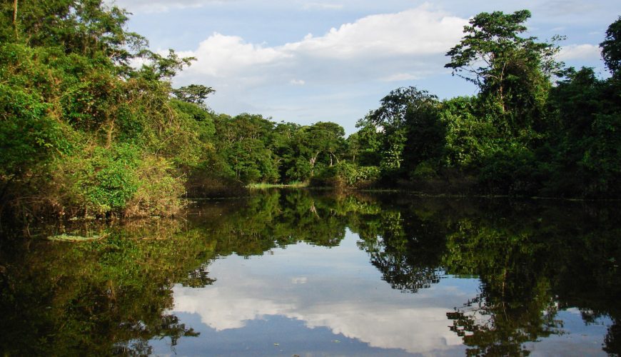 Reserva los mejores tours, actividades y atracciones turísticas de Colombia
