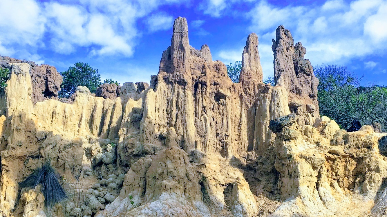 Tours imperdibles en Nemocón