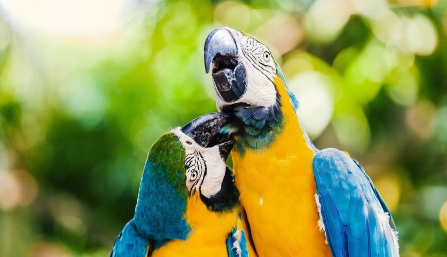 Reserva los mejores tours, actividades y atracciones turísticas de Colombia