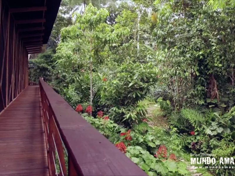 Reserva los mejores tours, actividades y atracciones turísticas de Colombia