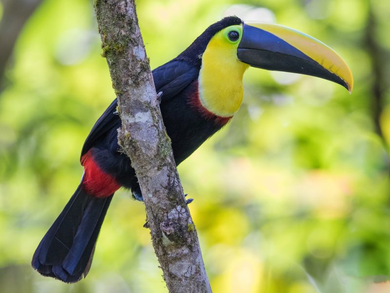 Reserva los mejores tours, actividades y atracciones turísticas de Colombia