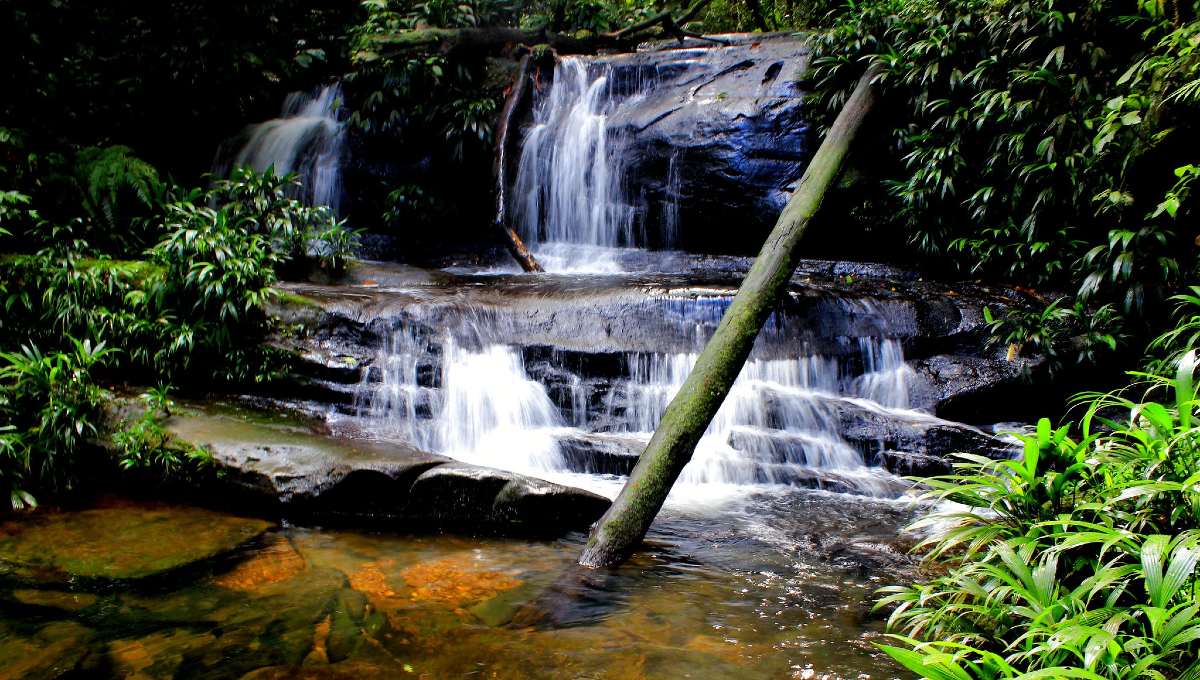 río tutunendo