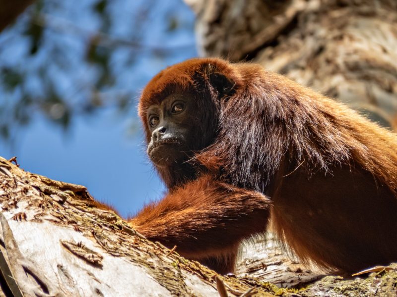 Reserva los mejores tours, actividades y atracciones turísticas de Colombia