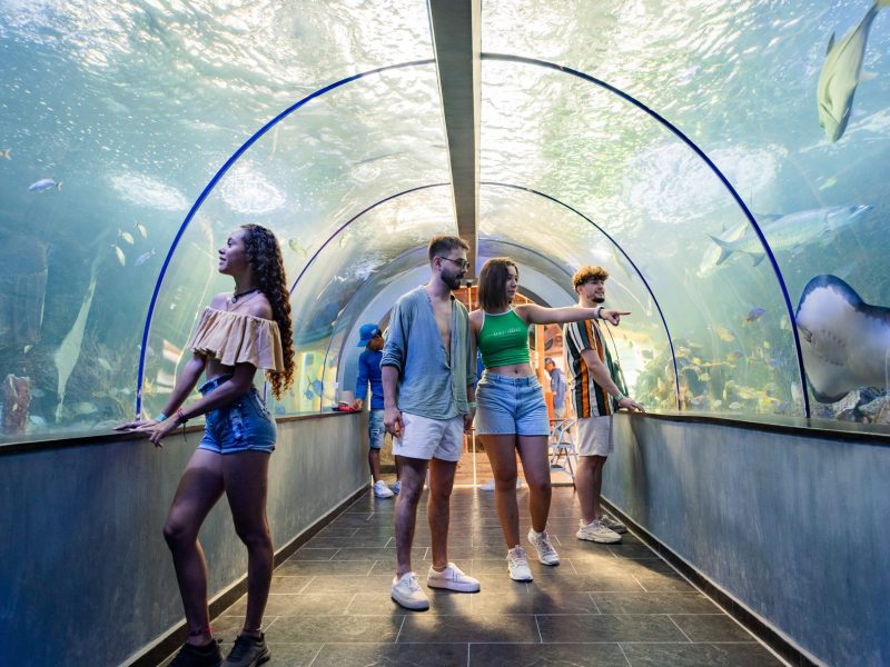 Reserva los mejores tours, actividades y atracciones turísticas de Colombia