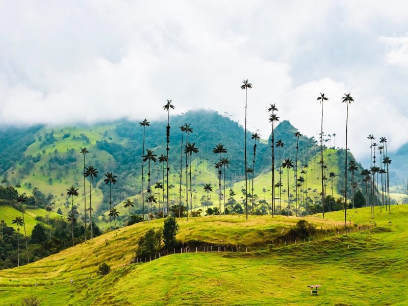 Reserva los mejores tours, actividades y atracciones turísticas de Colombia
