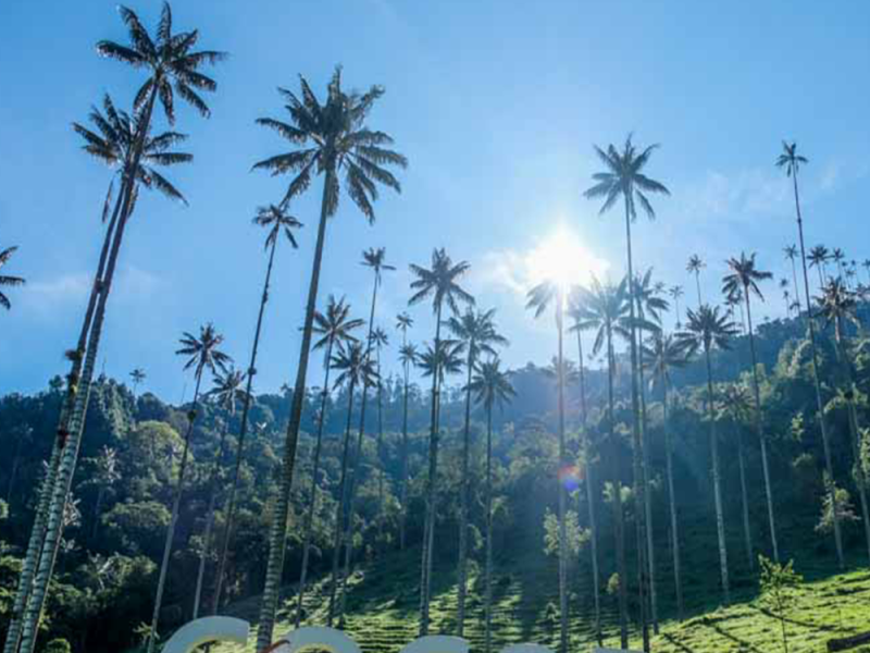 Reserva los mejores tours, actividades y atracciones turísticas de Colombia