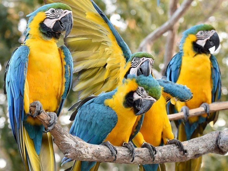Reserva los mejores tours, actividades y atracciones turísticas de Colombia