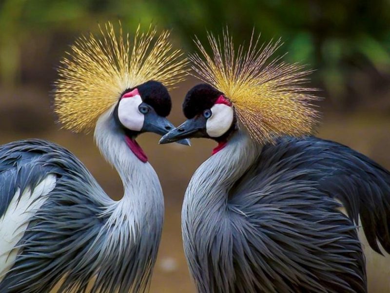 Reserva los mejores tours, actividades y atracciones turísticas de Colombia